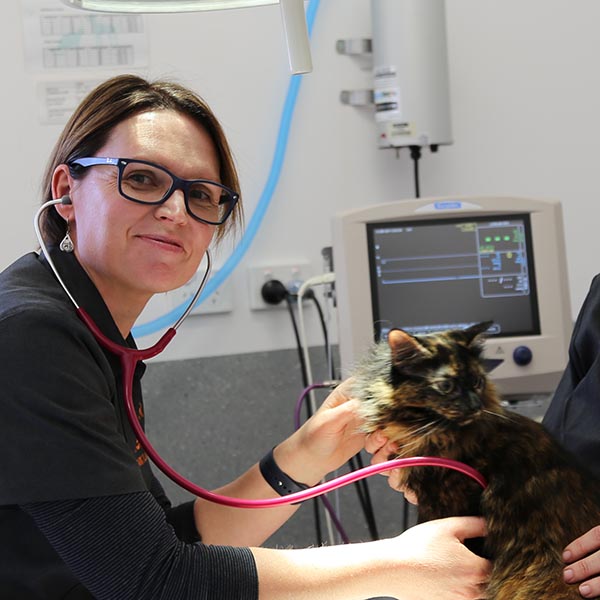 Kalgoorlie Veterinary Clinic - Our Services
