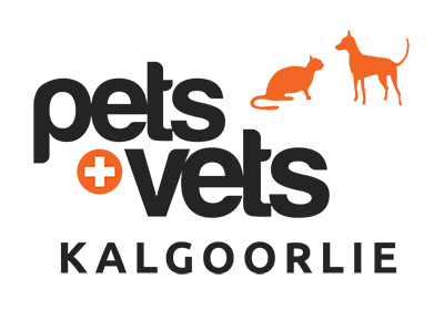 Kalgoorlie Veterinary Clinic